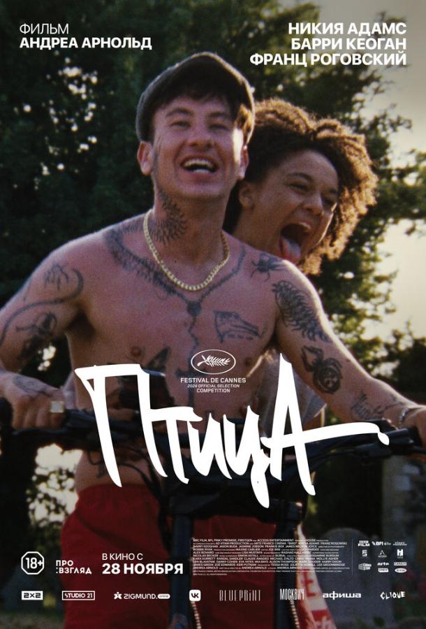 Фильм Птица (2024) смотреть онлайн в качестве FHD